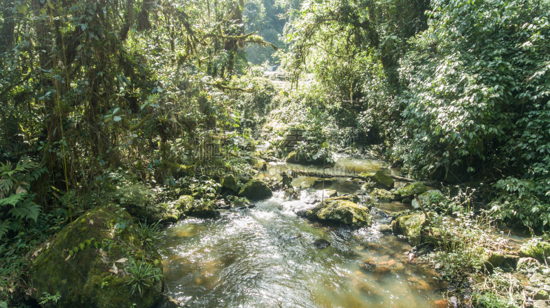 waterfall with 125 meters of height of water fall in Brazil in Santa Catarina Corupa. Route with 14 waterfalls in one of the last areas of Atlantic forest. Corupa means area of ​​many stones. The Rio Novo is born in the fields of the plateau and plunges t