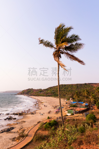 海滩,垂直画幅,美,旅游目的地,沙子,无人,户外,棕榈树,海洋,印度