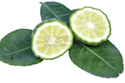 叶子,青柠檬,清新,白色背景,分离着色,水平画幅,绿色,无人,背景分离,泰国