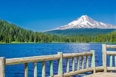 特里林湖,胡德雪山,夏天,卡斯基德山脉,俄勒冈州,俄勒冈郡,水平画幅,雪,无人,户外