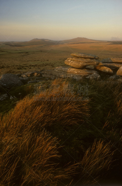 bodmin moor,老鹰,圣伯纳犬,突岩,垂直画幅,停泊的,旷野,摩尔人风格,康沃尔,冬天