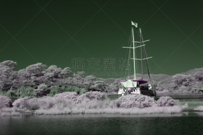 红外摄影,地形,复古风格,草,古董,古典式,摩尔人风格,植物,光谱色,停泊的