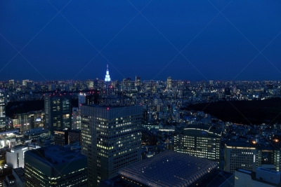夜晚,东京,天空,城镇景观,东亚,观测点,明亮,都市风景,建筑业,魅力