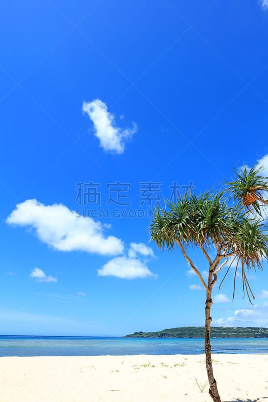 海滩,冲绳县,自然美,垂直画幅,天空,美,度假胜地,休闲活动,夏天,户外