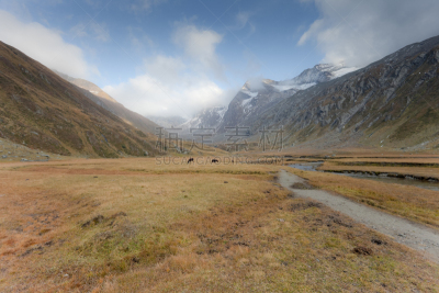 秋天,风景,草地,灰色,齐勒塔尔山脉,水平画幅,岩石,无人,单车道,户外