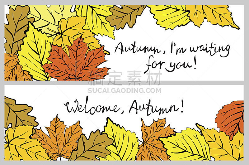 秋天,你好,绘画插图,图像,植物学,矢量,金色,太空,橙色,枫树