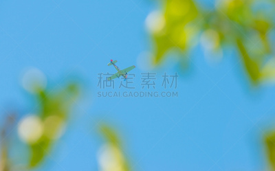 天空,蓝色,春天,飞机,水平画幅,户外,交通方式,螺旋桨飞机,植物,荷兰