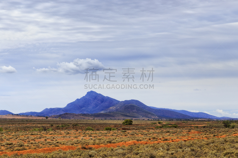 一只动物,西,平原,山,维佩纳凹地,弗林德斯山脉,建筑的,灌木丛,南澳大利亚,偏远地区