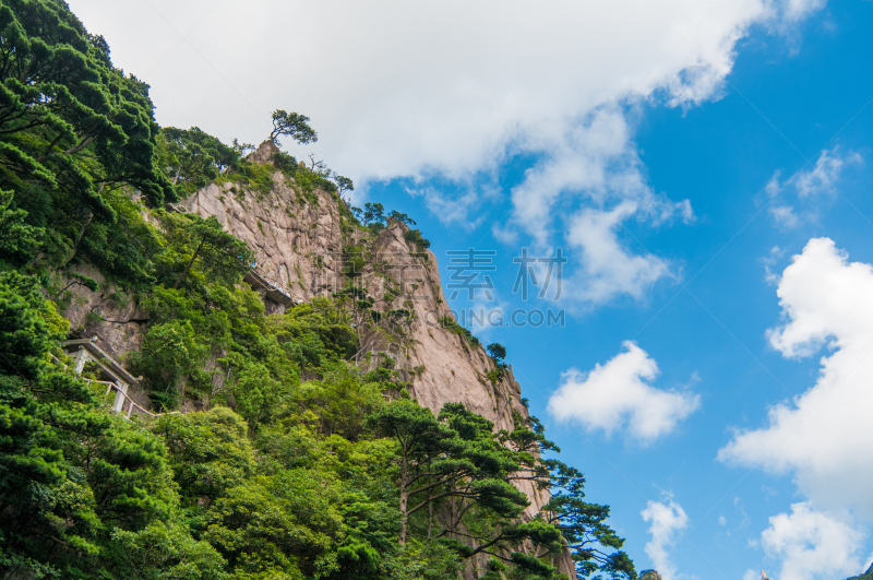 黄山山脉,中国,自然,松树,水平画幅,山,无人,户外,中长距离,松科