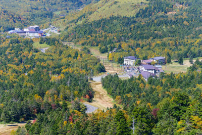 秋天,长野县,日本,滋贺县,苏格兰高地,山之内町,山之内,自然,水平画幅,高视角