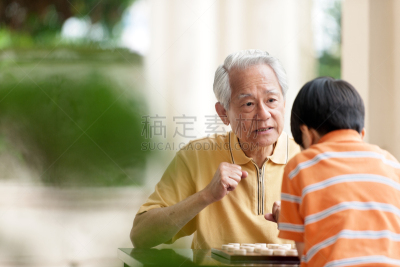 中国象棋,孙子,祖父,进行中,国际象棋,休闲活动,多代家庭,夏天,男性,知识