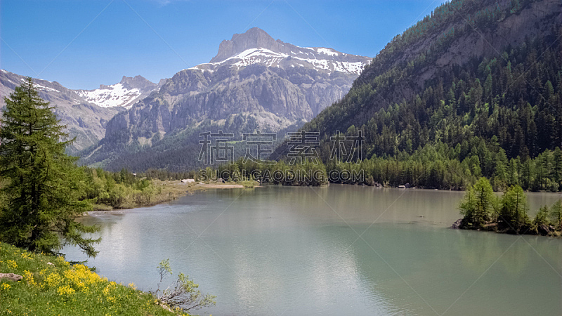 瑞士,瓦莱斯州,注视镜头,特拉华,雪,瑞士阿尔卑斯山,草,湖,休闲活动,岩石