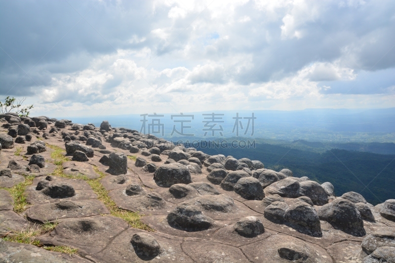 网线插头,佛罗里达黑豹,自然,旅游目的地,水平画幅,绿色,地形,岩石,地质学,无人