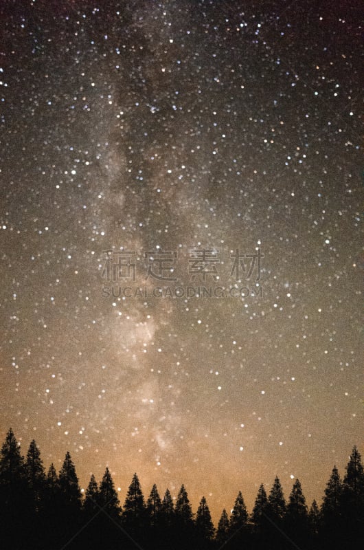 天空,夜晚,秘密,森林,在上面,垂直画幅,灵性,星系,星星,星云