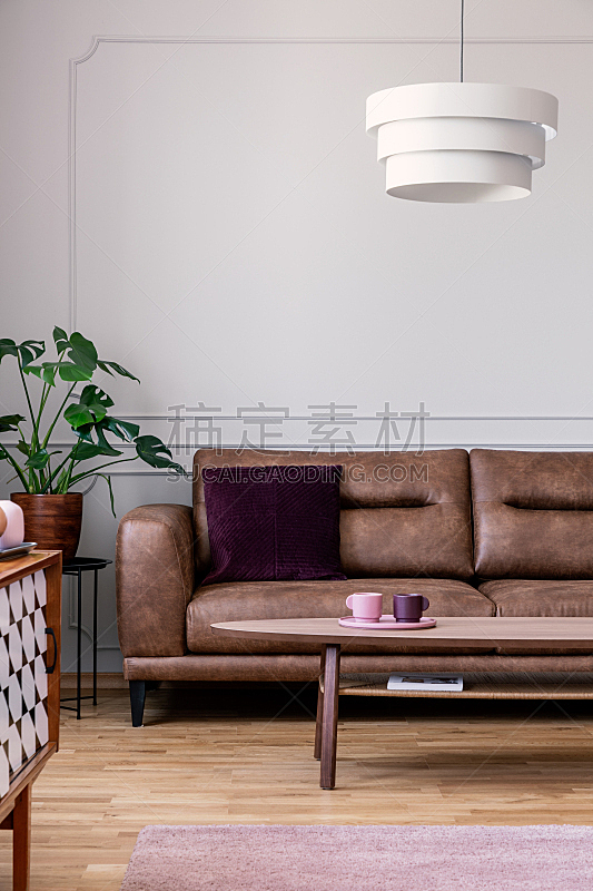 沙发,植物,皮革,木制,极简构图,平坦的,灯,室内,桌子,摄影