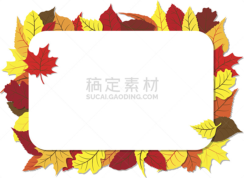 边框,叶子,秋天,留白,无人,九月,绘画插图,明亮,白色,植物