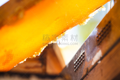 蜂箱,蜂蜜,麻疹乐队,彼得罗,beekeeper,蜂蜡,褐色,梳子,水平画幅,夏天