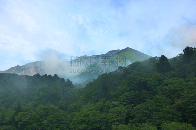 daisen,湿,安静,环境,云,天气,自然美,植物,户外,雨林