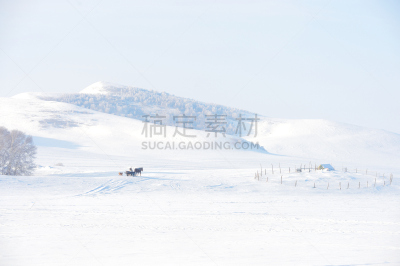 雪,背景聚焦,白云山脉,牛车,马车,小树林,仅一个老年男人,兽力车,天空,水平画幅