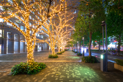 冬天,东京,日本,美,新宿区,水平画幅,夜晚,圣诞树,曙暮光