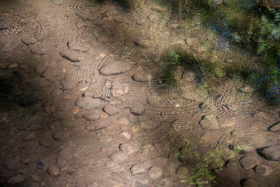 水,小溪,昆虫,自然,水平画幅,无人,户外,2015年,风景,淤泥
