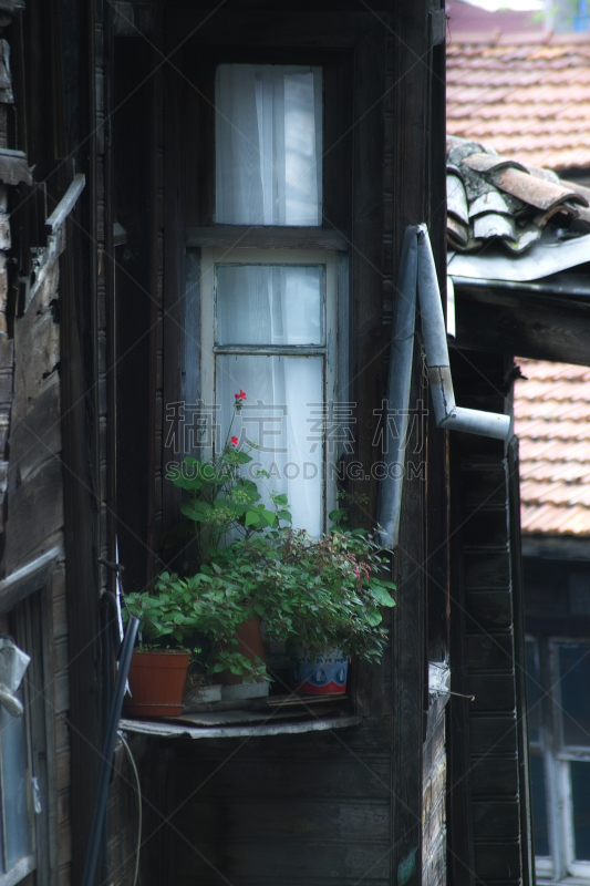 过时的,房屋,仅一朵花,凸窗,屋面工,苏丹艾哈迈德区,垂直画幅,古老的,过去,被抛弃的