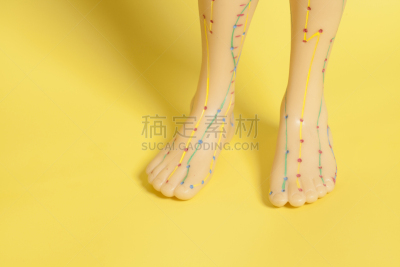 针灸模型,足,健康保健,黄色背景,针灸师,针灸,躯干,胸部,替代疗法,辅导讲座