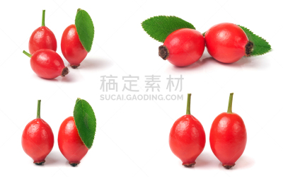 野玫瑰果,分离着色,白色背景,浆果,叶子,格兰迪伯瑞尔,水平画幅,野玫瑰,无人,乌克兰
