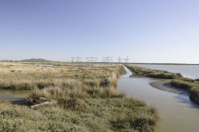 自然,托斯卡纳区,意大利,野生动物保护区,水,天空,公园,水平画幅,山,沙子