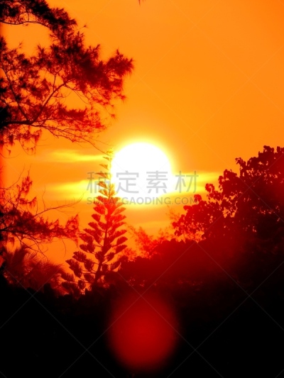 曙暮光,橙色,黄昏,天空,红色,太阳,活力,钟面,日落,日出