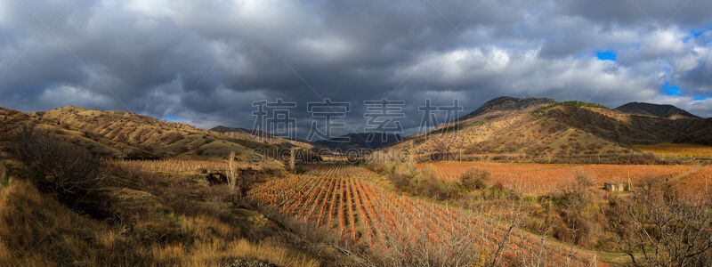 葡萄园,山谷,秋天,葡萄酒,天空,风,草,明亮,农作物,风景