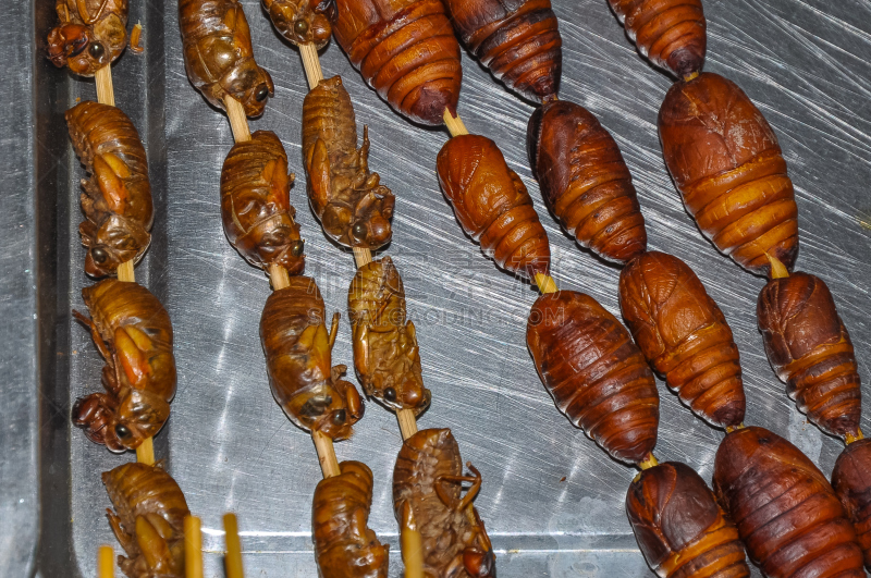 幼虫,巨大的,东方食品,串肉签,蛆,蚕,蝎子,俱乐部食品,毛虫,格子烤肉