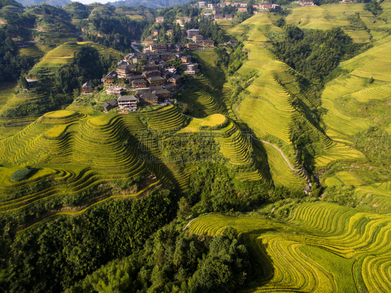 龙胜,稻田,龙脊梯田,水稻梯田,桂林,梯田,天空,水平画幅,无人,户外