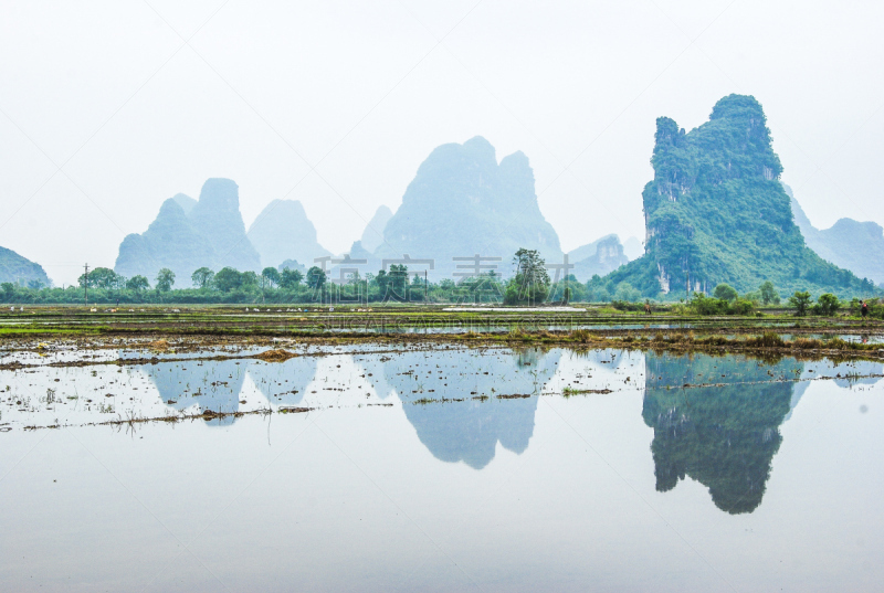 山脉,风景,喀斯特,泉,水平画幅,山,无人,夏天,稻田,彩色背景