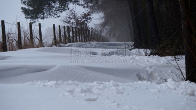 雪,小路,天空,气候,水平画幅,水的各种形态,无人,户外,边界,树林