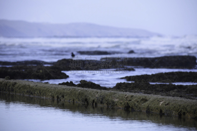 波浪,背景,岩石,宁静,水,散焦,潮水坑,纹理效果,摩泽尔海湾,环境