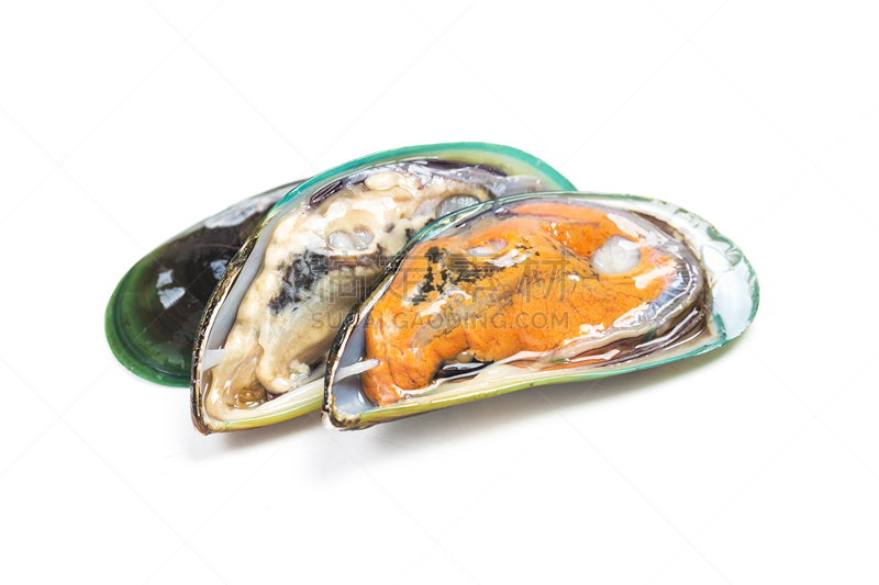 贻贝,白色背景,清新,自然界的状态,食品,煮食,动物,蛋白质,贝壳,双壳贝