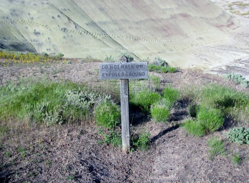 画山,俄勒冈州,美国,地贴,东,美国西北太平洋地区,俄勒冈郡,草,动物,沙漠