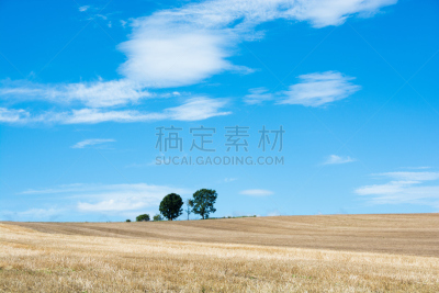天空,海洋,柏市,美瑛町,丘陵,北海道,留白,水平画幅,山,无人