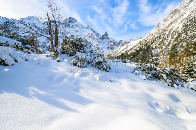 Fresh snowfall near frozen Morskie Oko lake in winter, Tatra Mountains, Poland