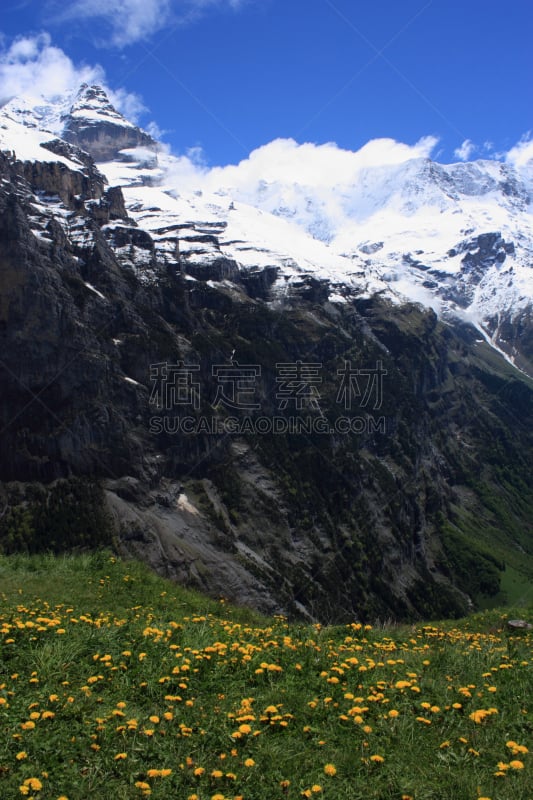 瑞士阿尔卑斯山,基米尔沃尔德,施雷克峰,希尔特峰,威特洪山,劳特布龙嫩,艾格峰,因特拉肯,垂直画幅,山