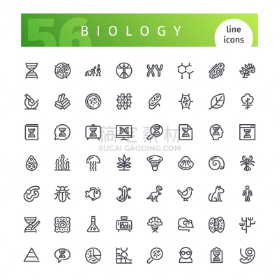 计算机图标,生物学,线条,显微镜,绘画插图,科学实验,生物化学,实验室,知识,技术