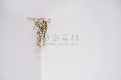 角落,墙,霉菌,轻的,留白,住宅房间,水平画幅,无人,古老的,泥土