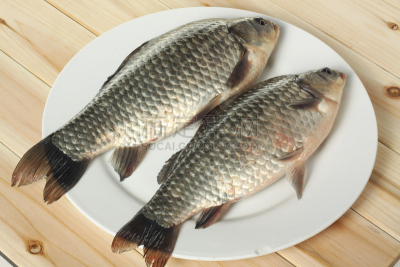 鲤鱼,白色,盘子,陆克文鱼,尾鳍,金鱼,水平画幅,银色,生食,海产