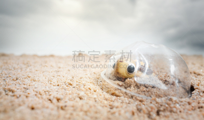 塑胶,捕获的,绿蠵龟,鸭舌帽,婴儿,夏天,身体受伤,损坏的,垃圾,概念
