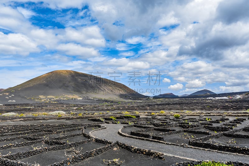 兰萨罗特岛,园艺,居住区,葡萄,洛杉矶县,timanfaya national park,玫瑰香葡萄,葡萄酒,天空,水平画幅