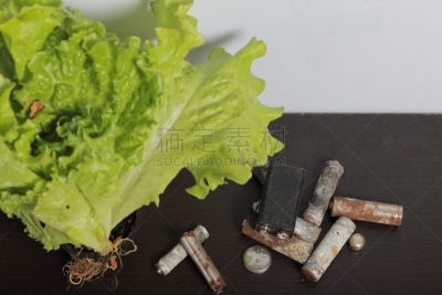 环境保护,电池,循环利用,锅,绿色,地球日,莴苣,活力,农业,有毒废物
