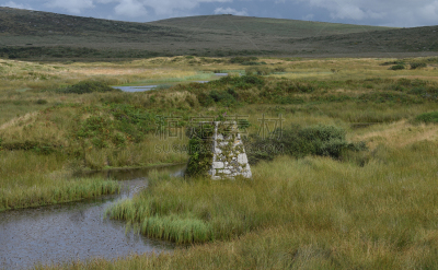 bodmin moor,沼泽,旷野,芦苇,自然,停泊的,摩尔人风格,水平画幅,无人,英国