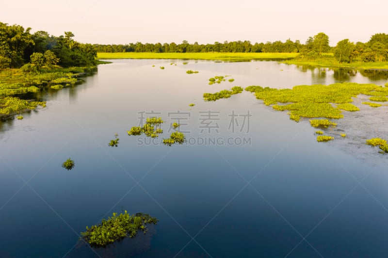 阿萨姆,凤眼莲,泻湖,岛,印度,田地,天空,水平画幅,地形,无人