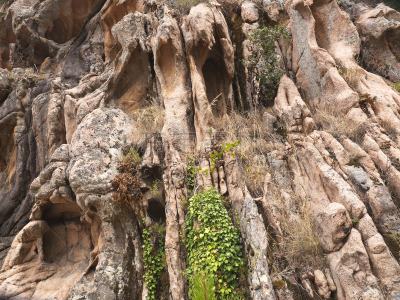 ,世之景,piana,蓝色的海湾,波尔图,波多,科西嘉,褐色,水平画幅,形状